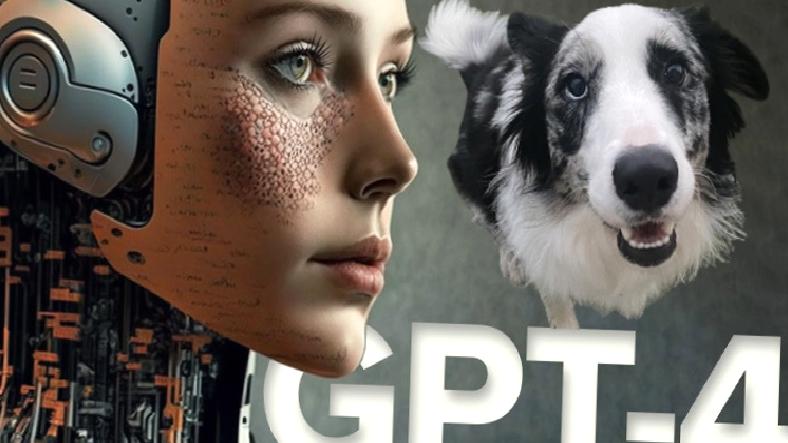ChatGPT, Bir Köpeğin Hayatını Kurtardı