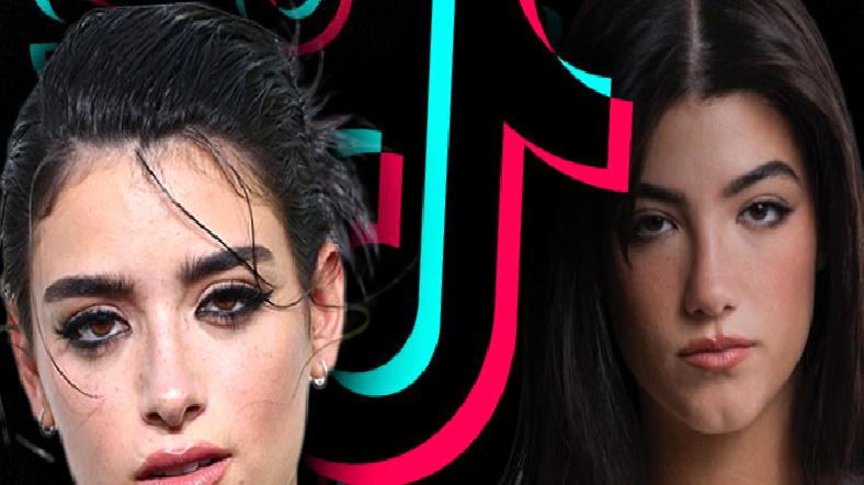 D’Amelio Kardeşler, TikTok’u Neredeyse Satın Alıyordu