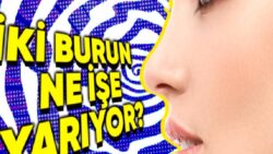 Aslında Bir Değil, İki Burnunuz Olduğunu Biliyor muydunuz? İşte Ardındaki Bilimsel Açıklama