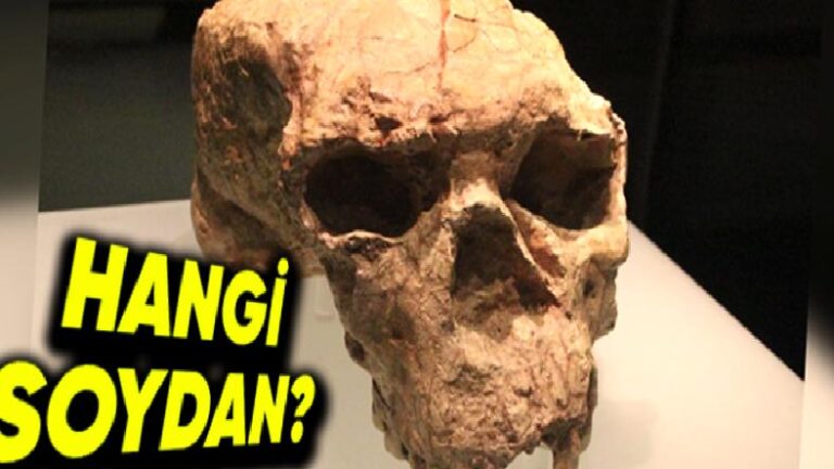 Çin’de Bulunan 1 Milyon Yıllık Gizemli Kafatasına Dair Çarpıcı Ayrıntılar