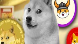 DOGE, SHIB, FLOKI ve Daha Pek Çok Memecoin’in Maskotu Köpek “Kabosu” Hayatını Kaybetti
