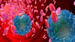 Kalp, Beyin ve Bacaklardaki Kan Pıhtılarda Mikroplastik Bulundu