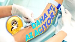 Kan Alırken Neden Atardamar Yerine Toplardamar Tercih Ediliyor? Sebebini Öğrendikten Sonra İğne Kaygınızdan Vazgeçebilirsiniz!