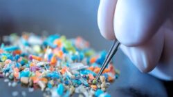 Şimdiye kadar mikroplastik bulduğumuz en rahatsız edici yerler