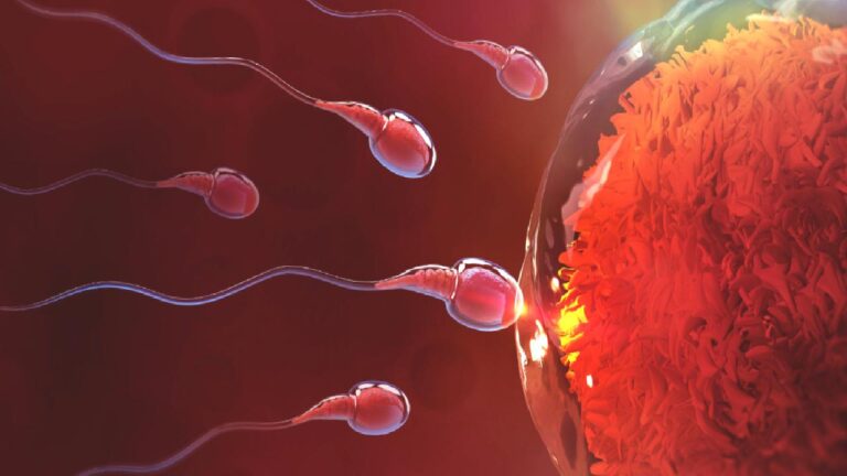 Sonunda bunu da gördük, insan testislerinde bile mikroplastik çıktı