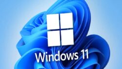 Windows 11 Microsoft’un Elinde Kaldı: Pazarın %70’i Hâlâ Windows 10’da