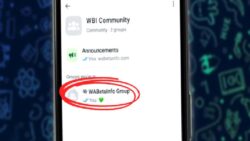 Yakında WhatsApp Topluluklarındaki Grupları Gizleyebileceksiniz: İlk Ekran Görüntüleri Geldi