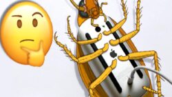 Yeniden Apple Yeniden Bir Çıkıntılık: Magic Mouse’u Neden Aykırı Çevirerek Şarj Etmek Zorundayız?