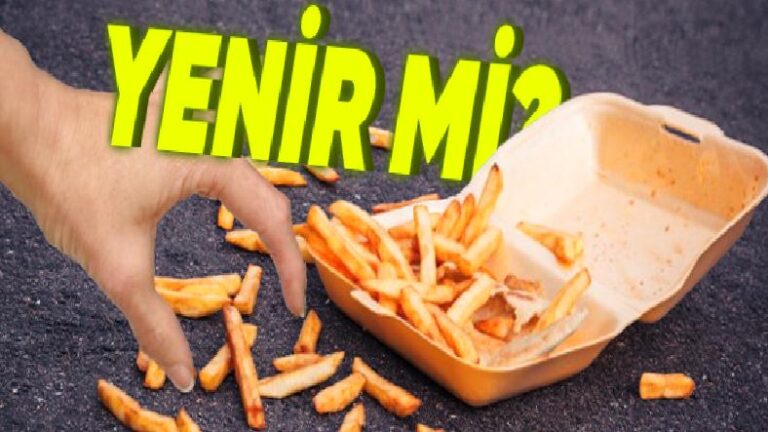 Yere Düşen Yemeğimizi 5 Saniye İçinde Alırsak Nitekim Temiz Kalır mı? İşte Bilimin Cevabı!