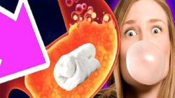 Yuttuğumuz Sakızların Sindirimi Sahiden 7 Yıl mı Sürüyor?