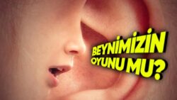 Beynimizde Neden Bazen Rastgele Bir Şekilde Kimi Sesler Duyarız? Hayır, Şizofreni Alameti Değil!