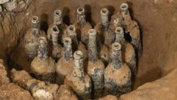 Biz meyveleri 1 hafta bile taze tutamazken, bu meyveler 250 yıldır sapasağlam duruyor