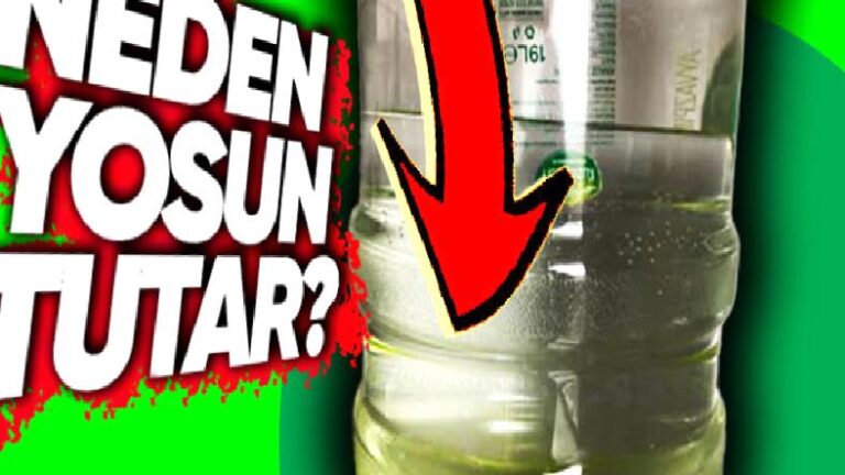 Damacananın Neden Yeşillendiğine Mana Veremeyenler Toplansın! Su Madem Saf, Neden Bekleyince Yosun Tutuyor?