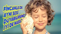 Deniz Sezonu Başlamak Üzereyken Bir Bilgi Daha Cepte: Deniz Kabuklarını Kulağımıza Tutunca Nasıl Oluyor da Dalga Sesi Duyuyoruz?