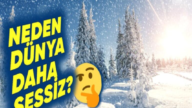 Kar Yağarken Neden Derin Bir Sessizlik Hissediyoruz? (Şimdiden Soğuk Günleri mi Özledik Ne!)