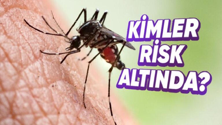 Kimilerimizin Sivrisinekleri, Tıpkı Bir Mıknatıs Üzerine Çekmesinin Şaşırtan Nedenleri