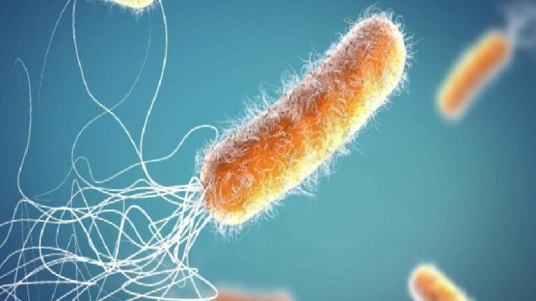 Yararlı Bakterilere Zarar Vermeyen Bir Antibiyotik Keşfedildi
