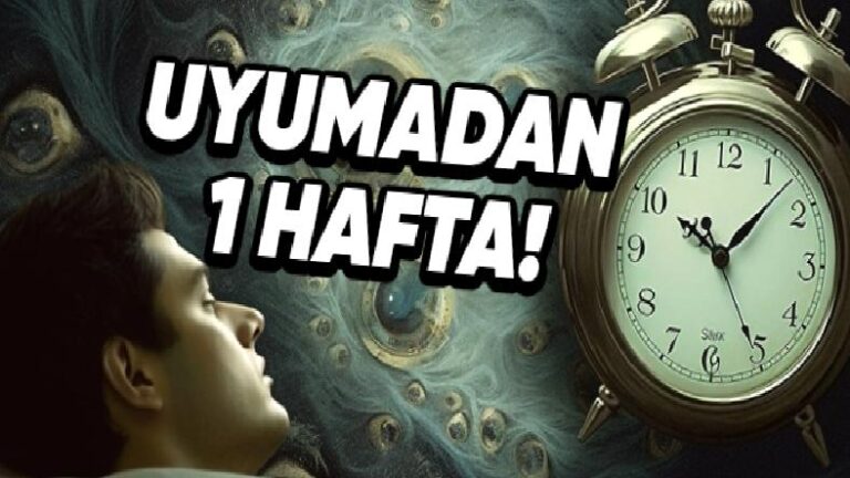 1 Hafta Boyunca Uyumazsak Başımıza Neler Gelirdi? Tüm Gerçekleriyle Anlattık!