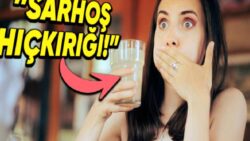 Alkol Tükettikten Sonra Neden Çoğu İnsanı Geçmek Bilmeyen Bir Hıçkırık Fiyat?