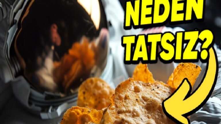 Astronotların Uzayda Tükettiği Yiyecekler, Onlara Neden Daha Tatsız Gelir?