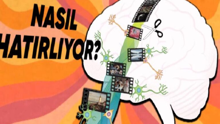 Beynimiz, Nasıl Oluyor da 25-30 Yıl Evvelki Bir Anıyı Tüm Ayrıntılarıyla Hatırlamayı Nasıl Başarıyor?