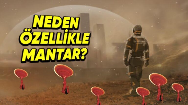 Bilim İnsanları Neden Uzayda Mantar Yetiştirmek İstiyor, Mantarın Sırrı Ne?