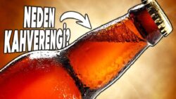 Bira Şişeleri Neden Kahverengi ve Yeşil gibi Koyu Renklerde Yapılır?