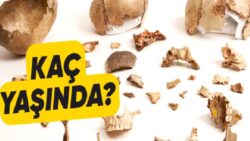 Dünyada Şimdiye Kadar Keşfedilen En Eski DNA Delili Kaç Yaşındaydı?