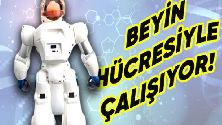 Dünyanın İlk İnsan “Beyinle” Çalışan Robotu Geliştirildi