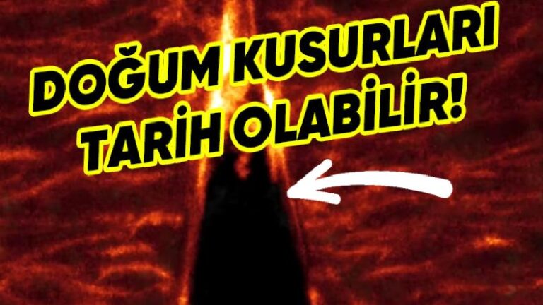 Fetüs Gelişimi, İlk Defa Anlık ve Yüksek Çözünürlüklü Olarak Takip Edildi