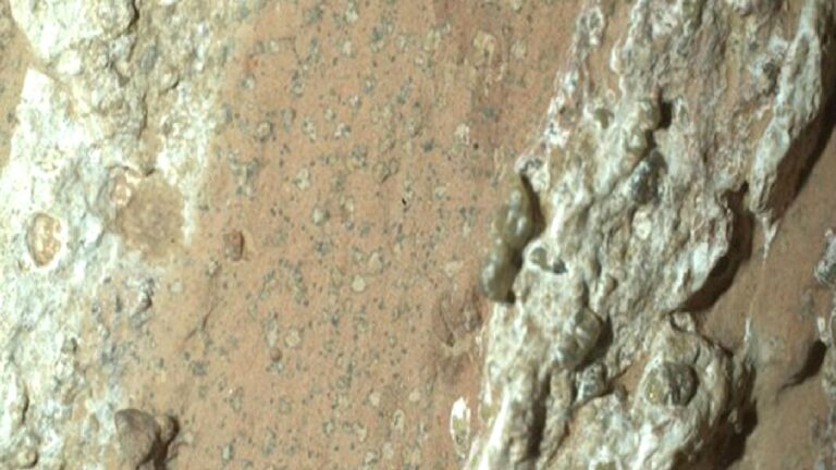 Mars’ta en şaşırtan, en karışık, en enteresan keşif: NASA ömür mı buldu?