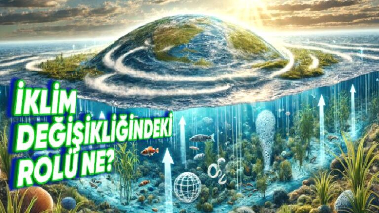 Okyanusların İklim Değişindeki Hayati Rolünü Anlattık: Onlar Olmadan Yaşayamayız!