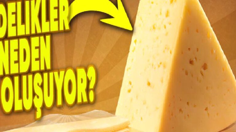 Peynirin Üzerinde Neden Delikler Olur?