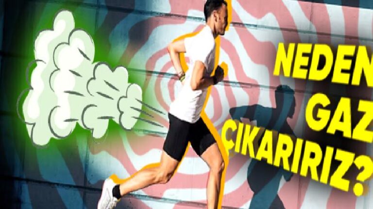 Protein Tozu Tükettikten Sonra Neden Bütün Gün Gaz Çıkarma İhtiyacı Duyarız?
