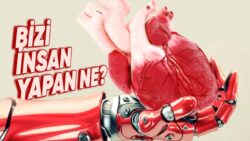 Tahminen de Gelecek Yıllarda Organ Nakli Diye Bir Şey Kalmayacak: Yapay Organlar ve Biyonik Uzuvlar Hayatımızı Nasıl Kökten Değiştirecek?