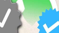 WhatsApp’a Gelecek Mavi Tikler İlk Defa Göründü