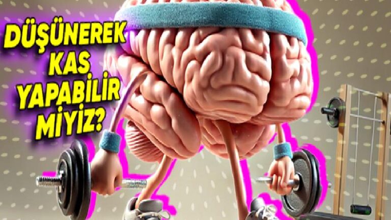 Yapılan Değişik Bir Araştırmaya Göre Zihin Gücümüzle Kas Yapmak Mümkün Olabilir! (İyi de Nasıl?)