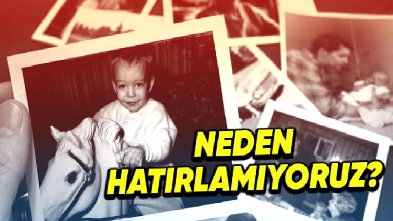 7-8’li Yaşları ve Sonrasını Hatırlayabiliyorken Bebeklik Periyodundaki Anıları Neden Hatırlayamayız?