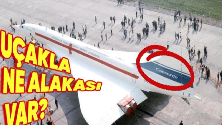 Bir Şeyin Ziyanlı Olduğunu Bildiğimiz Hâlde Neden Sadece Çok Emek Harcadık Diye Vazgeçemiyoruz?