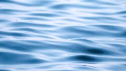 Denizler ve okyanuslar: Aralarında ne fark var?