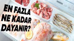 Dondurulmuş Besinler Bozulmadan En Fazla Ne Kadar Dayanabilir? Yanıt Sizi Biraz Şaşırtacak