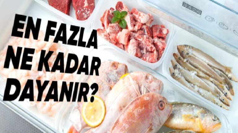 Dondurulmuş Besinler Bozulmadan En Fazla Ne Kadar Dayanabilir? Yanıt Sizi Biraz Şaşırtacak