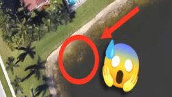 Google Haritalar’ın ‘Sokak Görünümü’ ve ‘Google Earth’ Sayesinde Çözülen Birbirinden Tuhaf Gerçek Suç Evrakları