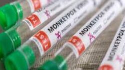 Maymun çiçeği virüsü nedir, nasıl bulaşır, semptomları nedir, Afrika’da son durum nedir?