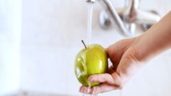 Meyveler hakkında keyfinizi kaçıracak araştırma