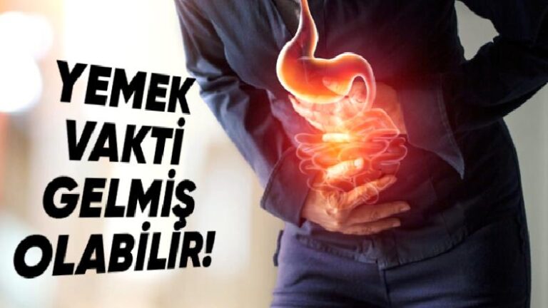 Uzun Süre Yemek Yemediğiniz Zaman Neden Midenizin Bulandığını Öğrenince Bir Daha Kendinizi Aç Bırakmayacaksınız!