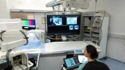 9.000 kilometre uzaktan ameliyat edilen domuz tarihe geçti