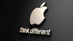 Apple’ın aldığı “haraca” bir tokat da Microsoft’tan geldi