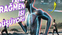 Beden Sıcaklığımız Terlediğimiz Anda Yükselmek Yerine Neden Düşüyor? Sebebini Öğrenince Bedenimizin İşleyişine Hayran Kalacaksınız