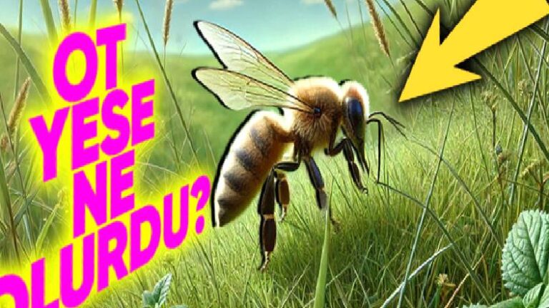 Bir Hayvanın Beslenme Nizamını Değiştirsek Ürettikleri Besinlerin Çeşidi de Değişebilir mi?